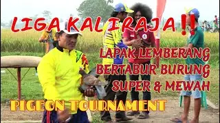 PERTARUNGAN SENGIT🔥 DI LAPKOL. LEMBERANG || SUPER MEWAH