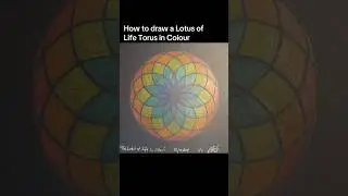 How to draw a Lotus of Life Torus in Colour