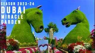 DUBAI MIRACLE GARDEN | Tips and Guide in Visiting the World's Largest Natural Garden
