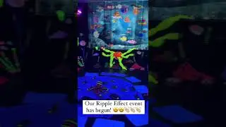 UV Installation with audio