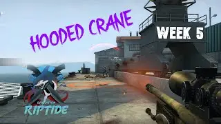 CSGO 2021 - Operation Riptide - week 6 - Guardian - Hooded Crane