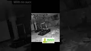 How Patience, AI Camera Monitoring & Behavior Study Finally Caught an Evasive Rat&rdquo; #hatchpestcontrol