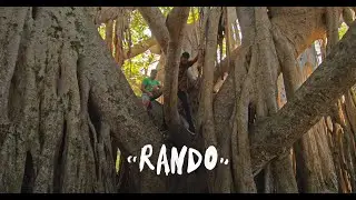 Hip Hop Thursday - 'Rando' feat. Sintron & Hal Brown [Official Video]