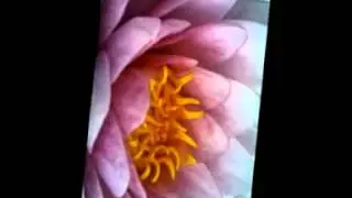VELOMA RE RY DADA HAVAKO (Biary feat Solika)