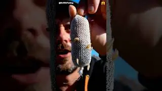 Professional Angler Techniques #shorts