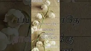 BIBLE VERSES|TAMIL CHRISTIAN WHATSAPP STATUS|ASWIN KRM|#short #subscribe #shortvideo #edit |