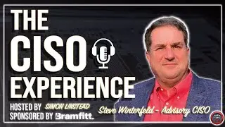 The CISO Experience