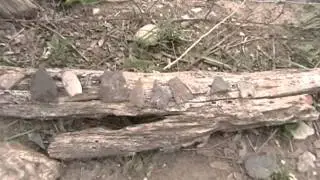 Texas Artifact Hunting in the Hill Country