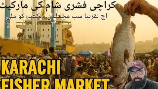 Fishri Rate Today | Surmai & Fresh Fish Price | Karachi Fishri Sham Ki Market | 13-9-25 Sumair #fish