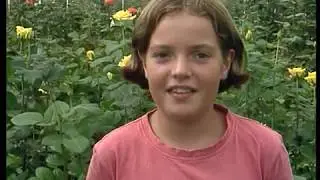 Voor jou een vraag: waarom brandt er licht in de kassen?