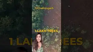 Disappearing Forests Of India - Here&rsquo;s Where and Why