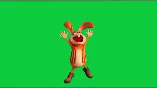 La lapin applaudi 4k Green Screen