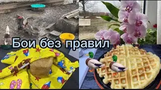 736❤️По плану. Новый объект на участке.