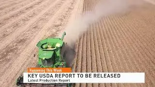Highly Anticipated USDA Crop Production Report Set for Release Later This Week