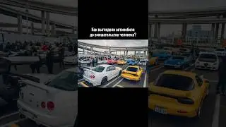 Как выглядели авто до вмешательства человека?