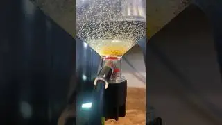 New Brine Shrimp Hatchery‼️🦐