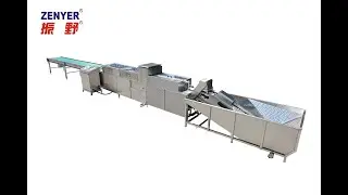 Zenyer 202B egg washing machine egg washer 10000 eggs/hour