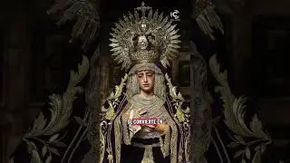 Noticias de La Amargura #sevilla #cofradias #tdscofrade #cofrade