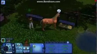 Жизднь в The sims 3-pets часть 2 второя половина