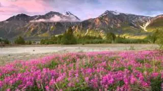 Phillip Alpha - Valente (Original Mix)