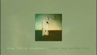 Stray Italian Greyhound &ndash; Vienna Teng Kalimba Cover