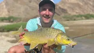 Orange river yellowfish fly fishing 2022
