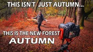 AUTUMN PHOTOGRAPHY IN THE NEW FOREST | LANDSCAPE PHOTOGRAPHY