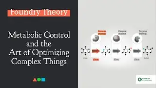 FT022 - Metabolic Control and the Art of Optimizing Complex Things
