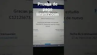 ES REAL - Prueba de Pago Intellizoom Panel. 8 dolares #shorts
