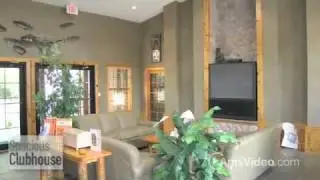 Brandon Crossing Apartments in Brandon, FL - ForRent.com