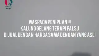 Perbedaan Kalung Terapi Ginsamyong Asli Dan Yang Palsu