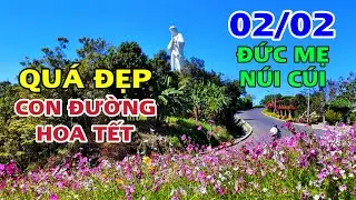 QUÁ ĐẸP CON ĐƯỜNG HOA TẾT 2026 TẠI ĐỨC MẸ NHÍ CÚI .