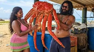 👑 King Of Seafood | Giant King Crab Cutting Masterclass & Many More Giant Fish Cutting