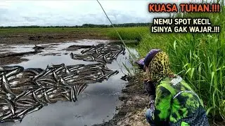 KUASA TUHAN.!!! NEMU SPOT KECIL ISINYA LUAR BIASA || MANCING SEBENTAR KARUNG HAMPIR PENUH
