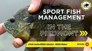 NCWRC Sport Fish Management ​in the Piedmont Region - North Carolina Wildlife Federation