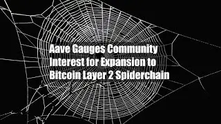 Aave Gauges Community Interest for Expansion to Bitcoin Layer 2 Spiderchain