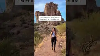 Add the Boyce thompson arboretum to your Arizona fall Bucketlist!