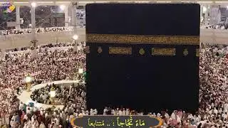 سورة يوسف الرحمن الواقعة ق الملك النبأ بالتفسير بصوت الشيخ محمد طالب
