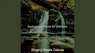 Opulent Music for Wellness