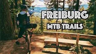 Freiburg MTB Trails. (Borderline, Baden To The Bone.)