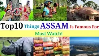Top 10 Famous Things For Assam which Is Famous In India And All Over The World ||