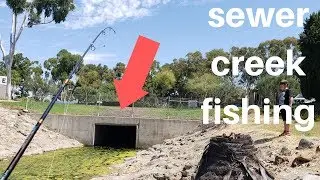 SEWER CREEK FISHING | SECRET CREEK!