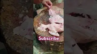 Chicken breast curry cut #meat #skills #tandoori #chickengrills #currycut #viralshort #chickenparts