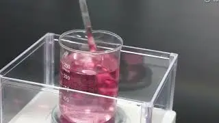 Pink Color Shampoo Research and Development