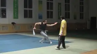 Fabien Garcia Wushu Training Reel