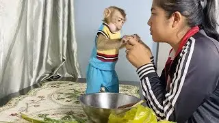 Mess Boy DAM Request Help Peeling Candy During Busy Cooking