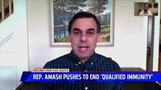 Amash takes aim at qualified immunity with new bill