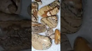 🖼️Picture Jasper🌟#rocktumbling #tumbledstones #rocks #shorts #rocks #crystals