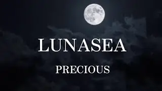祝 ルナフェス②　　　　　　　　　　LUNASEA（PRECIOUS）2011年バージョンINORANパートギター弾いてみた。（歌詞付き）