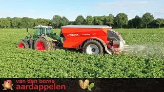Fertilizing potatoes with Rauch Axent 100.1
